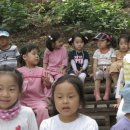 꿀참나무숲 유치원 이미지