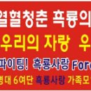 4520 이미지