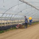 인덕농장 이미지