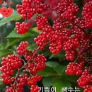공간까페 이미지