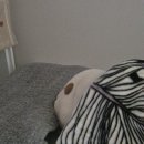 서울홍파초등학교 | 지금부터가 진짜 2026년임. 내가 그렇다면 그런거임.