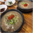 레몬비 서귀포시청점 | 서귀포시청맛집 탐나는식당, 비 오는 날 먹은 제주도몸국 고사리해장국 방문 후기