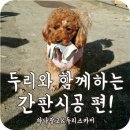 뉴－광고썬팅