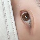 자연미인 - 송파구 | 청주 개신동 속눈썹펌 누니미인 자연스러운 속눈썹 후기