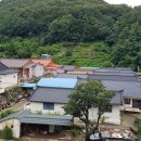 광산개발주식회사 티스토리