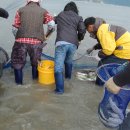 죽림어촌체험마을 이미지