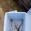 그림나래 이미지