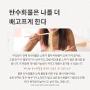 매정제 이미지