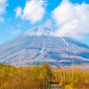 동부카정비센타 이미지