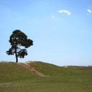 갑천우안도로 이미지