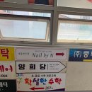 모락모락떡집 | 대전떡집 추천, 양희당 송편 먹어본 후기