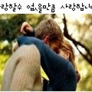 공 감 Daum카페