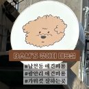 밤스(BAM'S) 강아지 미용실 | 부산 남천동 애견미용 BAM'S 강아지 미용실 가위컷 전문 비숑 애견미용