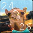 어웨이크복싱 이미지