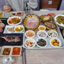 통영 다찌 맛집 추천! 2.5만원에 푸짐하게 즐기는 통영 다찌 내돈내산 후기 정숙이네 한상