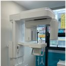 사파동161 이미지