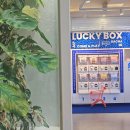 이색뽑기 | 식물카페 에이프 식물뽑기 이색카페 랜덤뽑기 가챠 부천 카페맛집