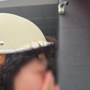 은혜농원 | [일상조각모음 | 8/1–8/15] 여름의 정점에서