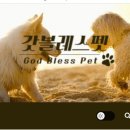 블레스펫 이미지
