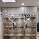 동물병원 유피 이미지
