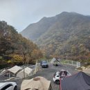 청학동별빛캠핑장 이미지