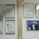 조선생 펫살롱 이미지