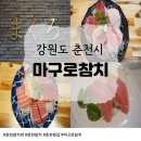 보안길 | 춘천참치회 제대로 먹는 날! 숙성 참치 끝판왕 ‘마구로참치’ 진코스 후기