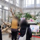 새마음플라워 이미지
