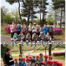 해피키즈유치원 이미지