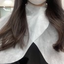 살롱드모연