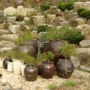 산머루펜션 이미지