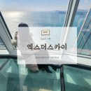 더스카이 | 부산에서 가장 높이 올라간 하루, 해운대가 한눈에 보였던 엑스더스카이 후기