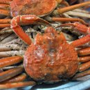송림 회 식당 Daum카페