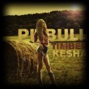 Timber- Pitbull (ft. Ke$ha) 이미지