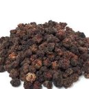 구찌뽕 열매 먹는법 혈관에 좋은 구찌뽕 나무 효능 이미지