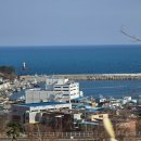 예스 나동 이미지