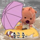 타코이야기 이미지