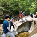 계룡산 제석사 - 논산 봉황산 산행 ＜2024년 사진＞ 이미지