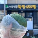 제두염전 | 제주도 1일차, 제주도 서쪽 여행 코스 총정리 (맛집/카페/돌염전/양떼목장 후기)