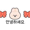 톡톡씨드 이미지