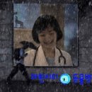 마린숲 동물병원 이미지