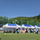 큰잔치푸드 | 2026 어린이날 울주 어린이 큰잔치 작천정 축제 다녀온 후기