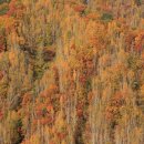 수산리-5 이미지