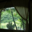 원통막국수 이미지