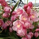 계성농장 이미지