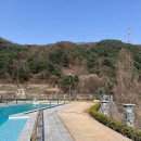 우다다애견펜션 이미지