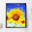 해바라기 하나 이미지