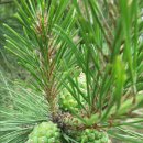 파란농장 이미지