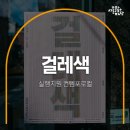 피그리프 스튜디오