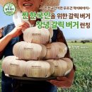 한국맥도날드(유)부천역곡역DT점 | 한국인의 맛! 찐 한국인을 위한 맥도날드 창녕갈릭버거 추천! 솔직후기(feat. 드라이브스루 쿠폰 이용...